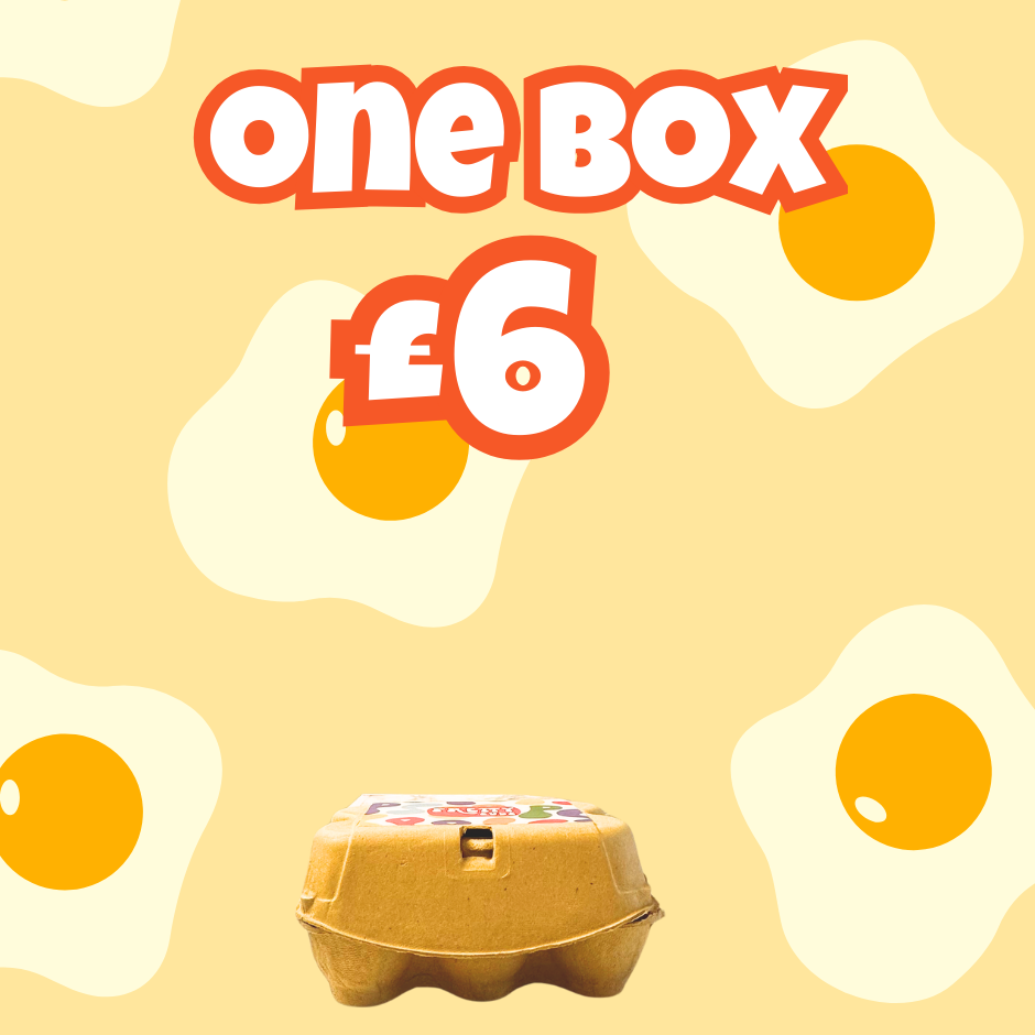 Golden Egg Hunt Bath Bomb Egg Box 450g