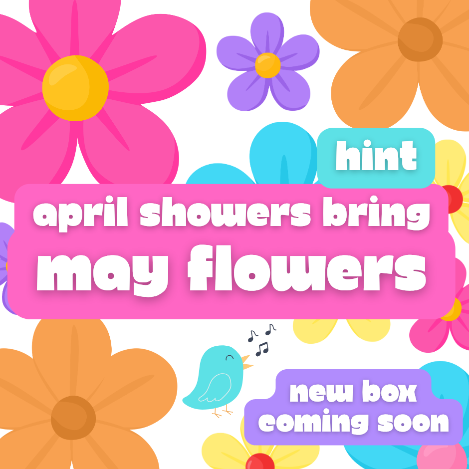 Bath Bomb Monthly Box