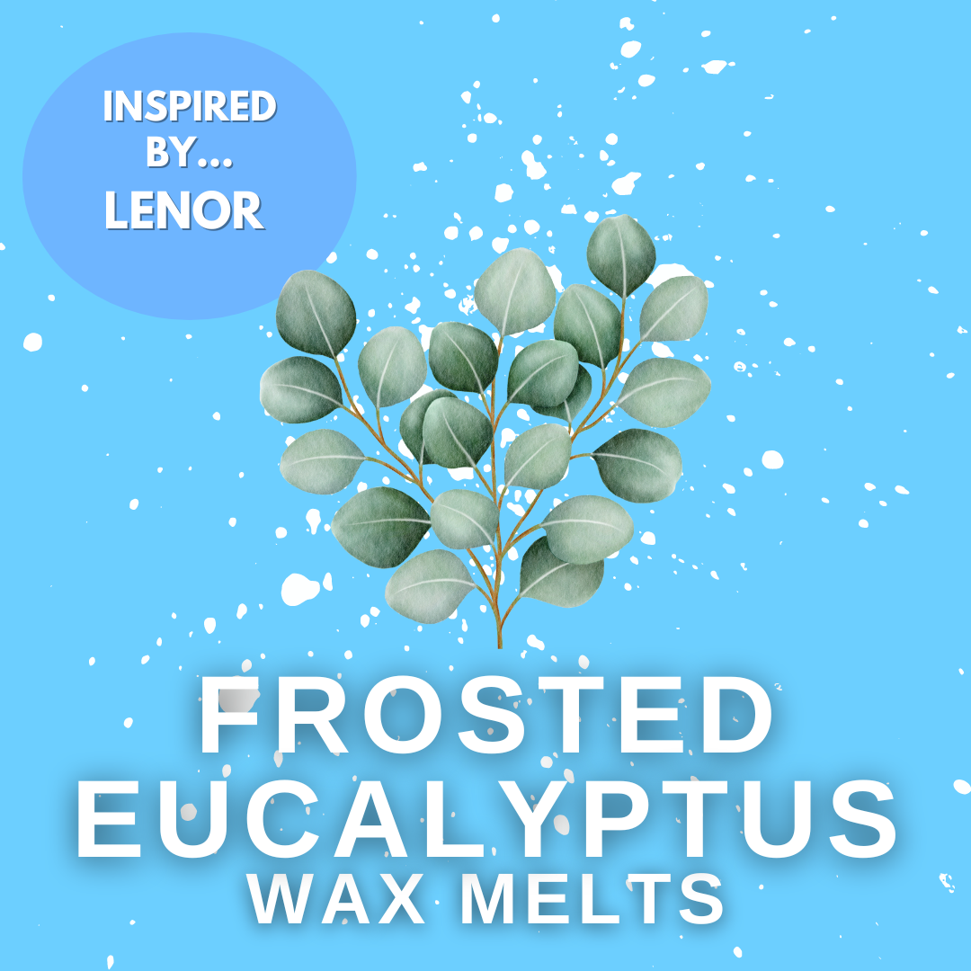 Frosted Eucalyptus Soy Wax Melt Box 50g