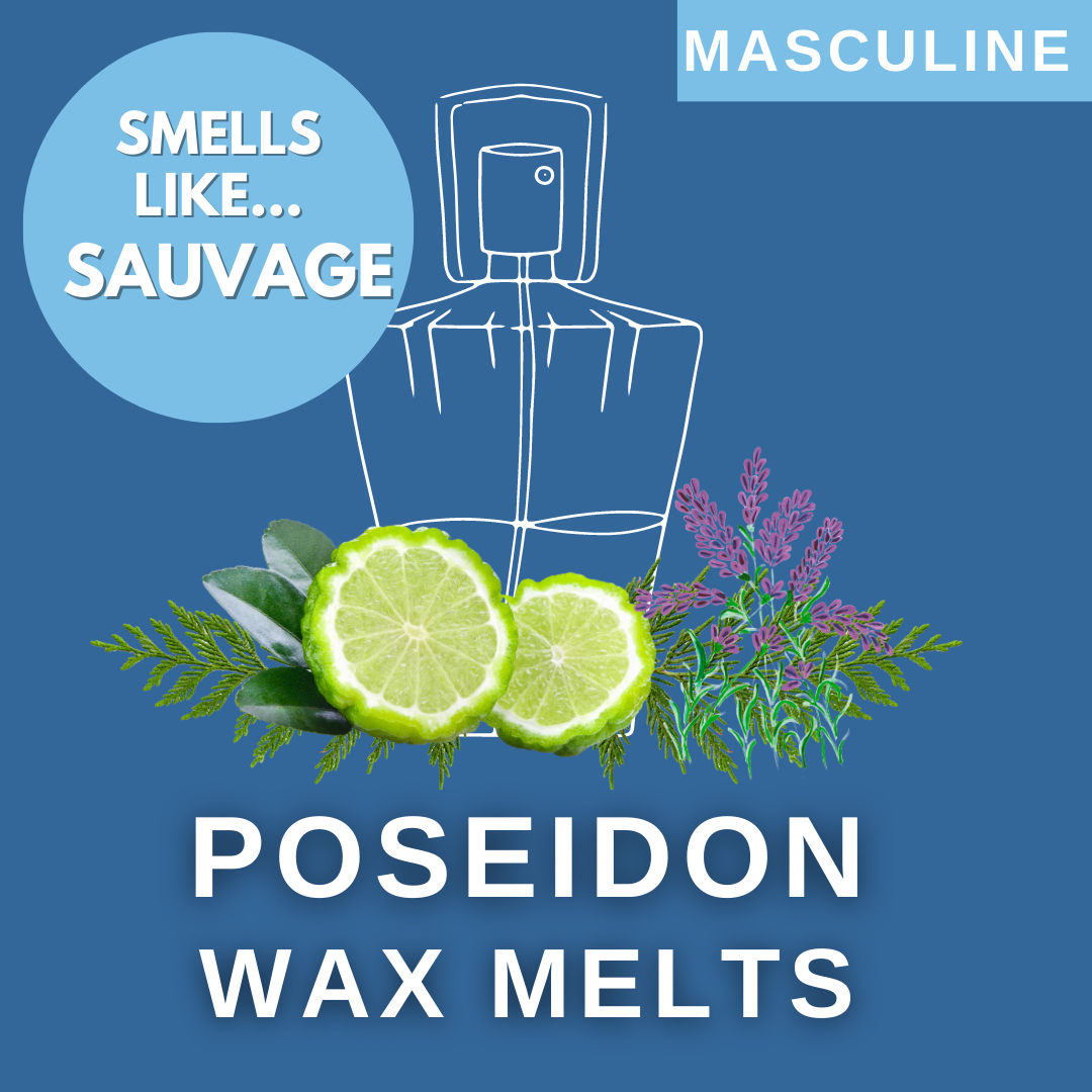 Poseidon Soy Wax Melt Melt Box 50g