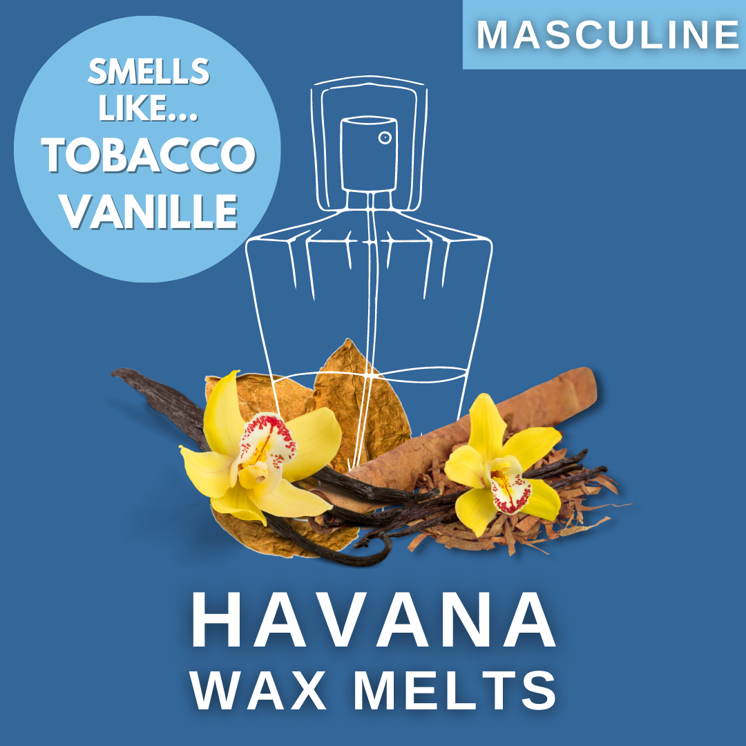 Havana Soy Wax Melt Box 50g