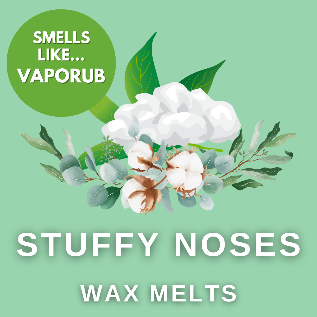 Stuffy Noses Soy Wax Melt Box 50g